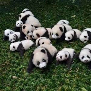 Meet your Posher, Johnna